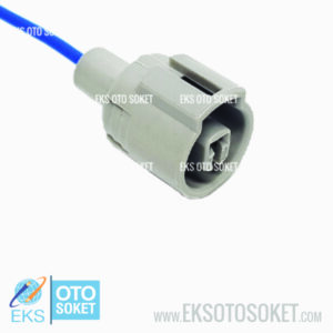 1C009