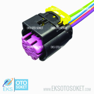 5C024