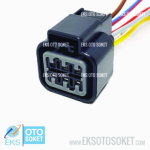 6C019